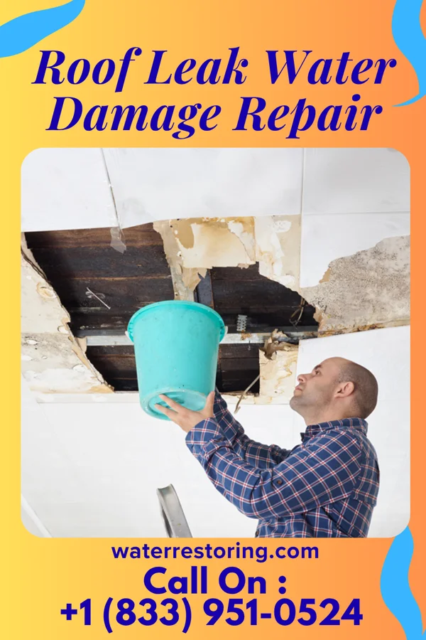 Roof Leak Water Damage Repair in Twin Falls, ID